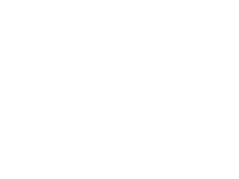 A Lorenz Attractor generated from the go code.